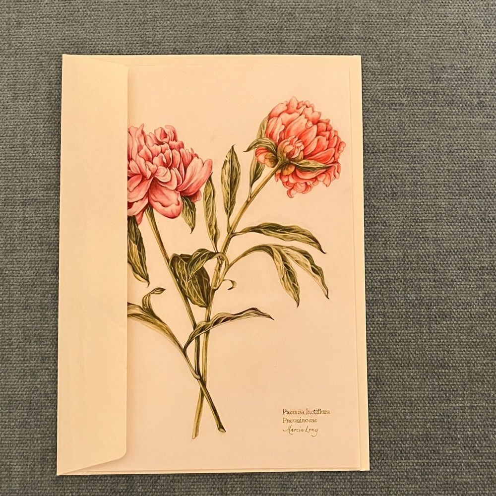 Peonies The Colonial Williamsburg Foundation Card